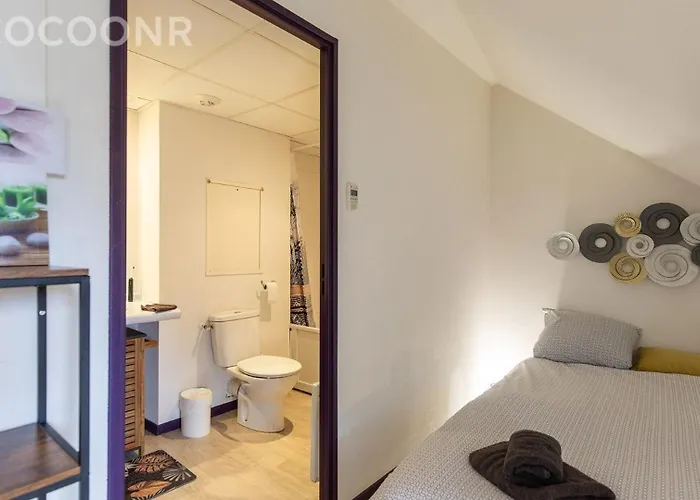 Grand 4 Personnes Bien Place Gare , Sanctuaire ,centre Apartamento *